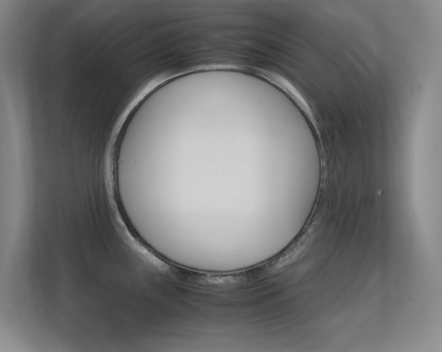 X0000112371243200908131248