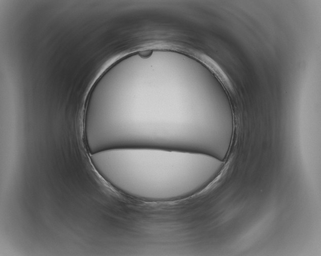 X0000112371244200908131248