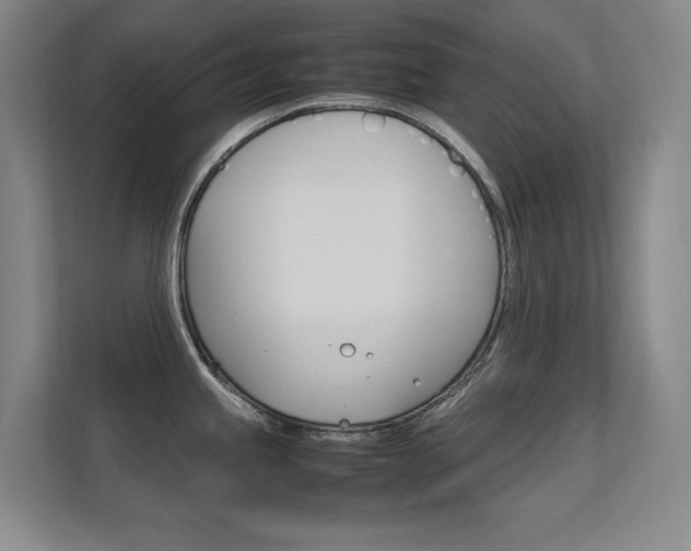 X0000112371245200908131248