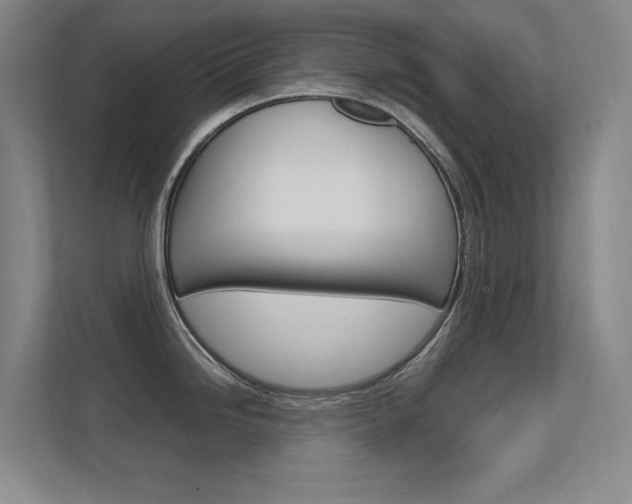 X0000112371246200908131248