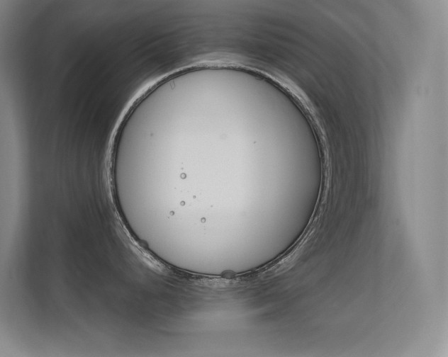 X0000112371248200908131248