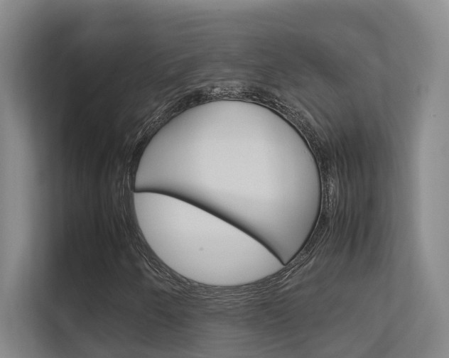 X0000112371250200908131247