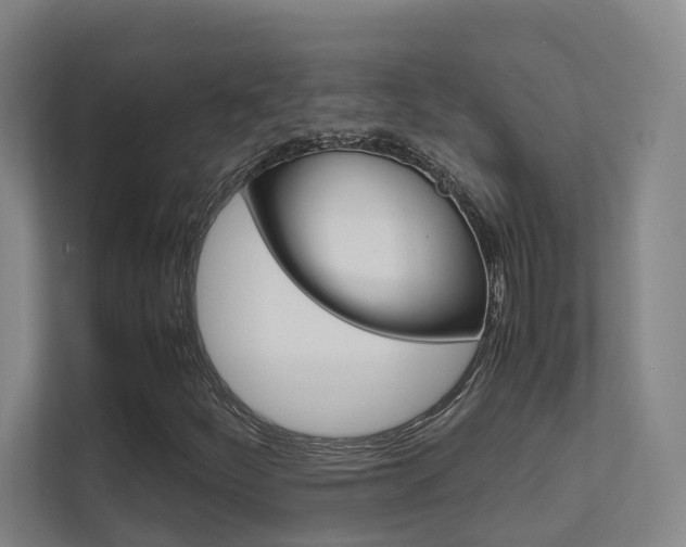 X0000112371252200908131247