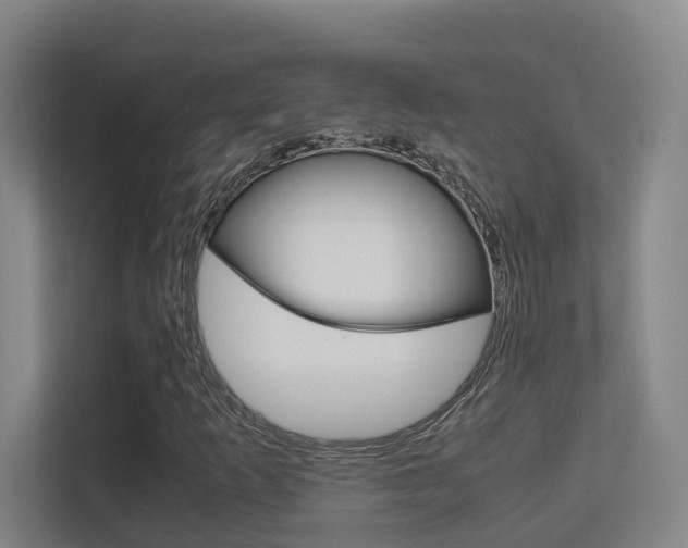 X0000112371253200908131247