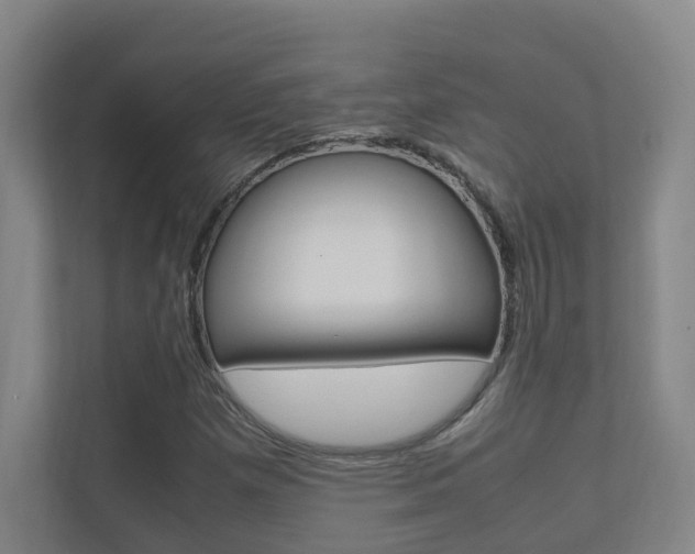 X0000112371257200908131247