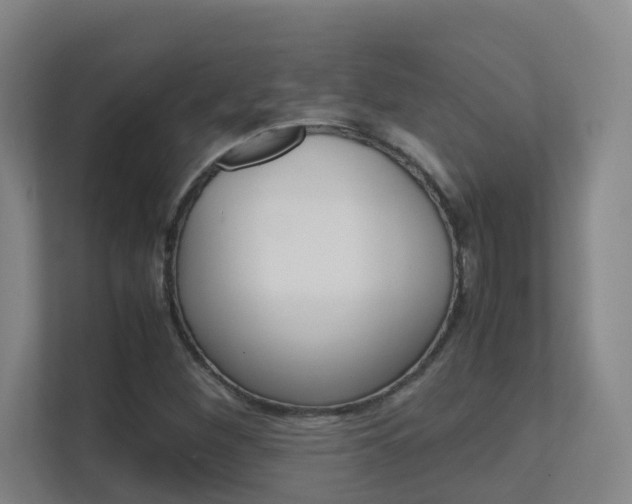 X0000112371260200908131247
