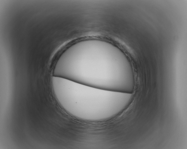 X0000112371262200908131247
