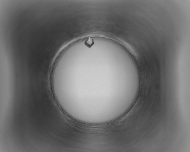 X0000112371264200908131247