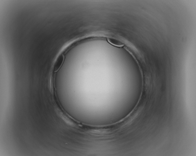 X0000112371272200908131247