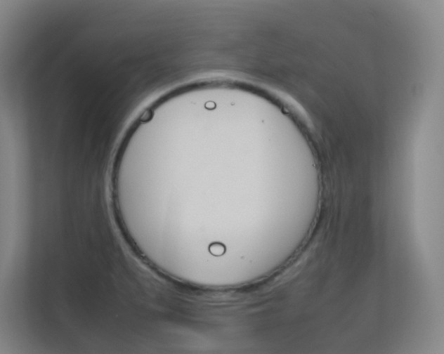 X0000112371279200908131247