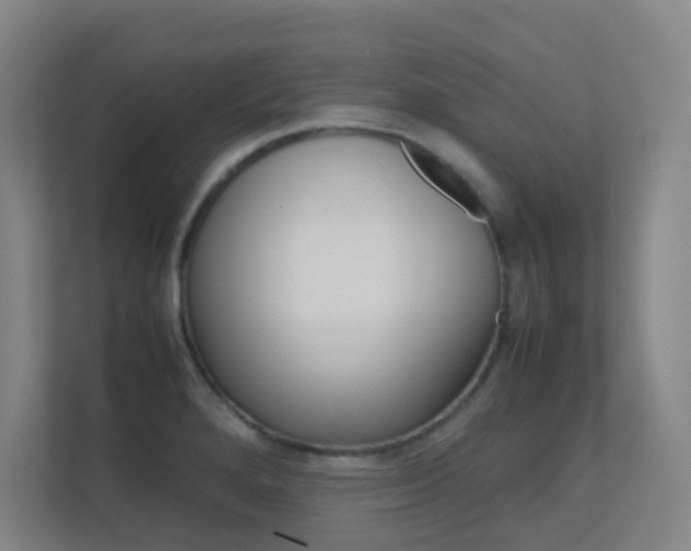X0000112371280200908131247