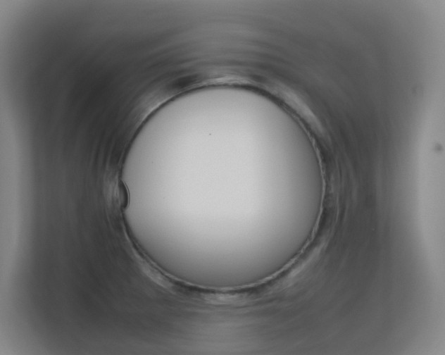 X0000112371281200908131247