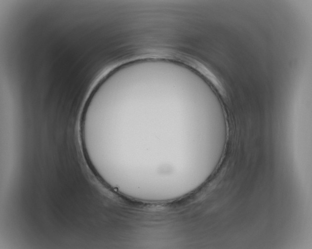 X0000112371283200908131247