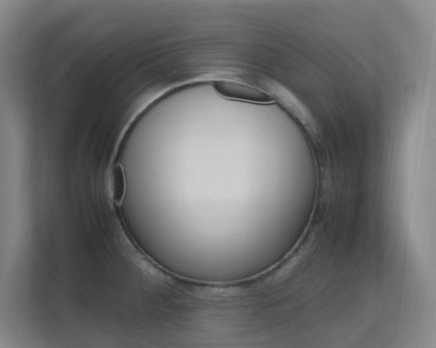 X0000112371284200908131247