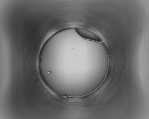 X0000112371285200908131247