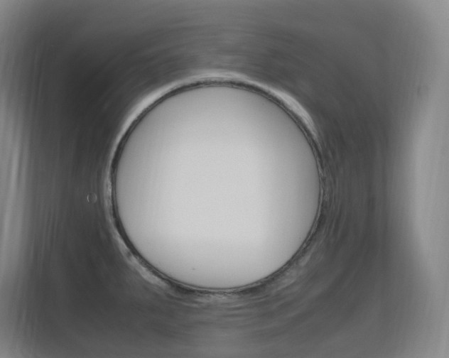 X0000112371287200908131247