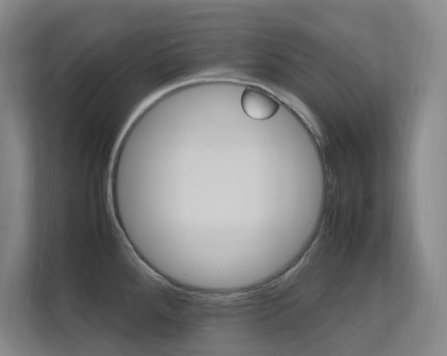 X0000112371288200908131247
