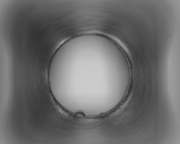 X0000112371289200908131247