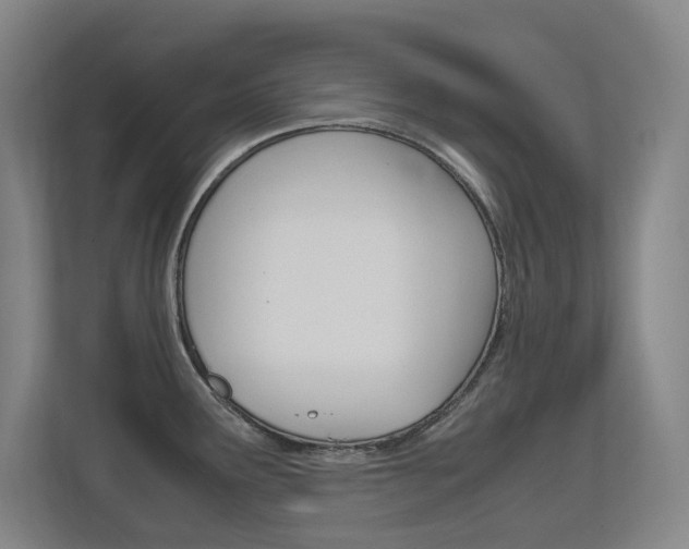 X0000112371291200908131247