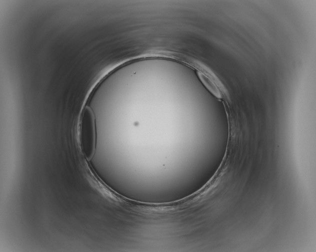 X0000112371292200908131247