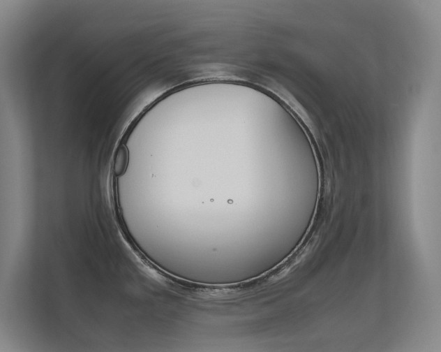 X0000112371293200908131247
