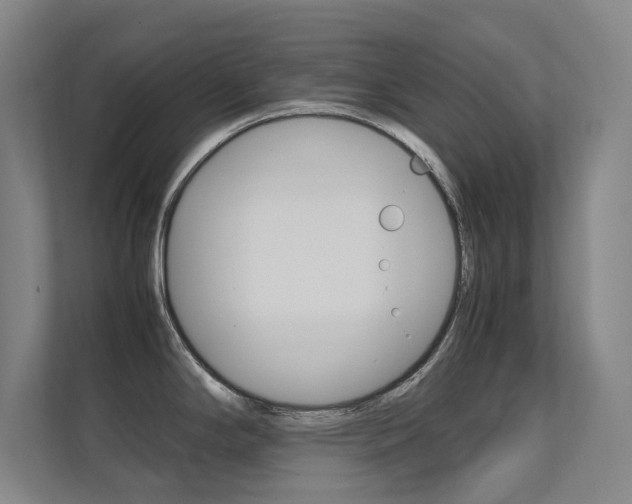 X0000112371294200908131247