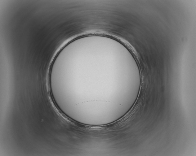 X0000112371295200908131247