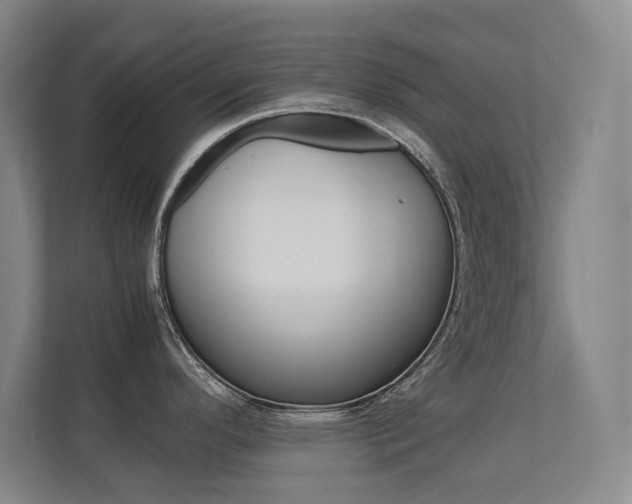 X0000112371296200908131247