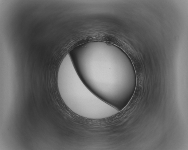 X0000112371298200908131246
