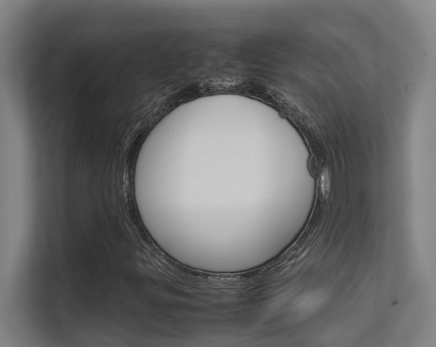 X0000112371299200908131246