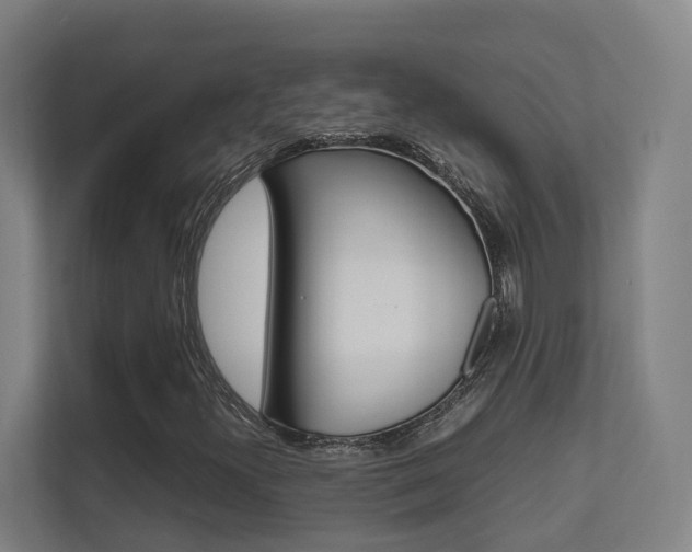 X0000112371300200908131246