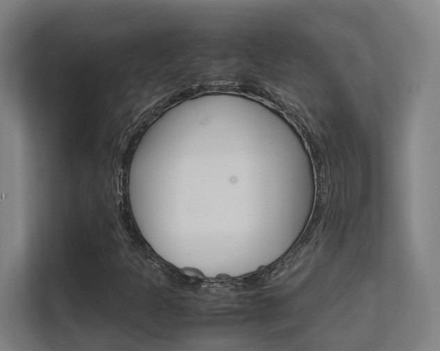 X0000112371301200908131246