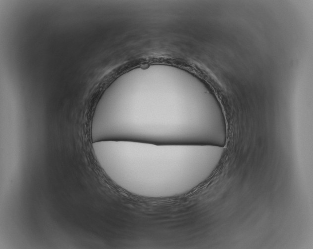 X0000112371303200908131246