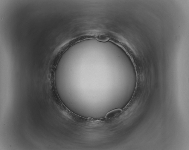 X0000112371304200908131246