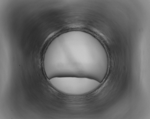 X0000112371306200908131246