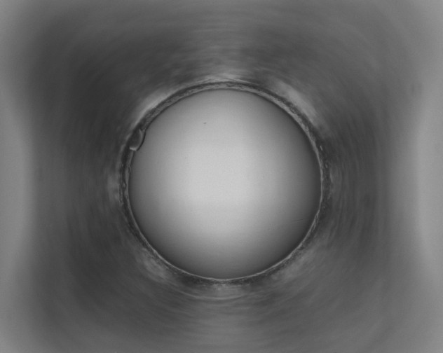X0000112371308200908131246