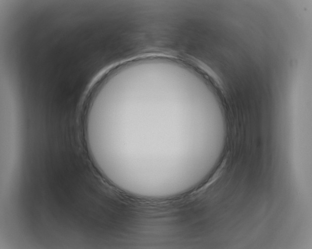 X0000112371310200908131246