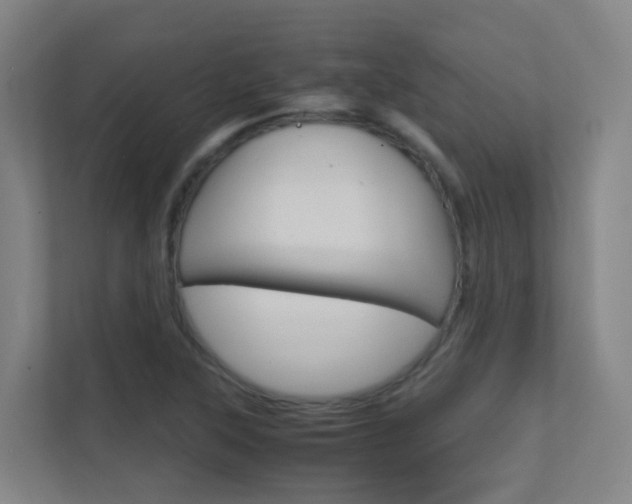 X0000112371315200908131246