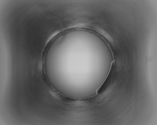 X0000112371316200908131246
