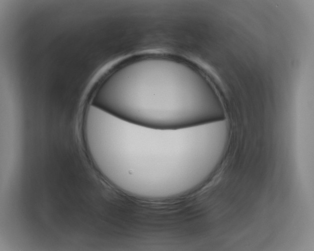 X0000112371319200908131246