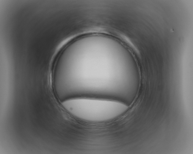 X0000112371320200908131246