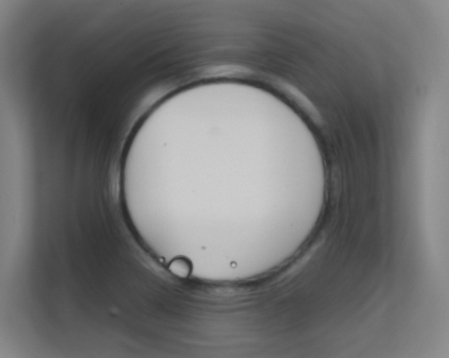 X0000112371322200908131246