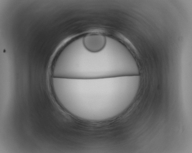 X0000112371323200908131246