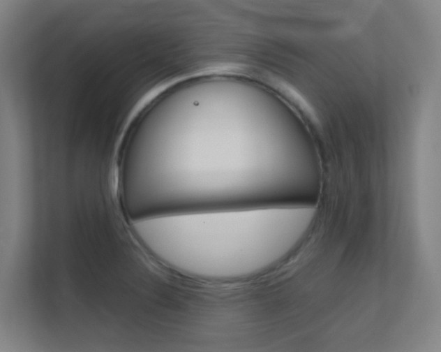 X0000112371324200908131246