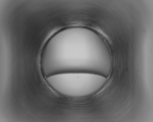 X0000112371325200908131246
