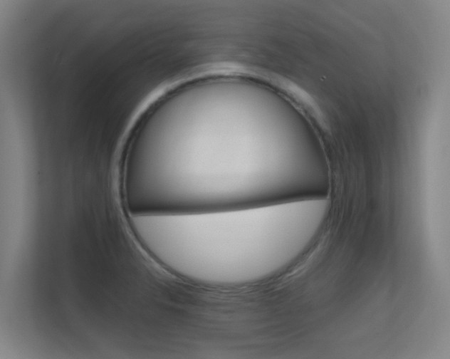 X0000112371326200908131246