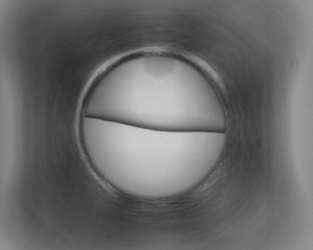 X0000112371327200908131246