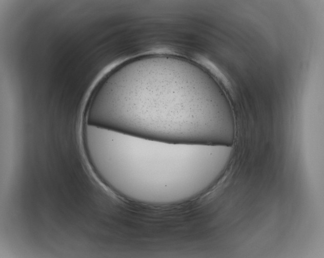 X0000112371331200908131246