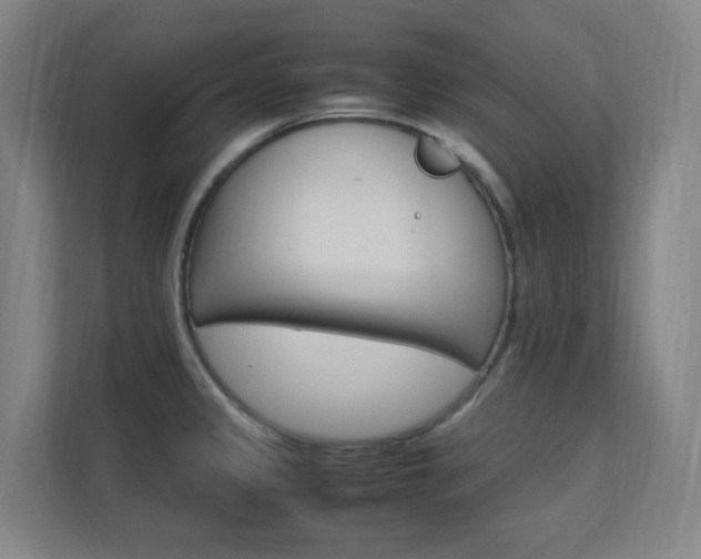 X0000112371333200908131247