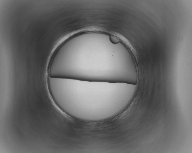 X0000112371335200908131247